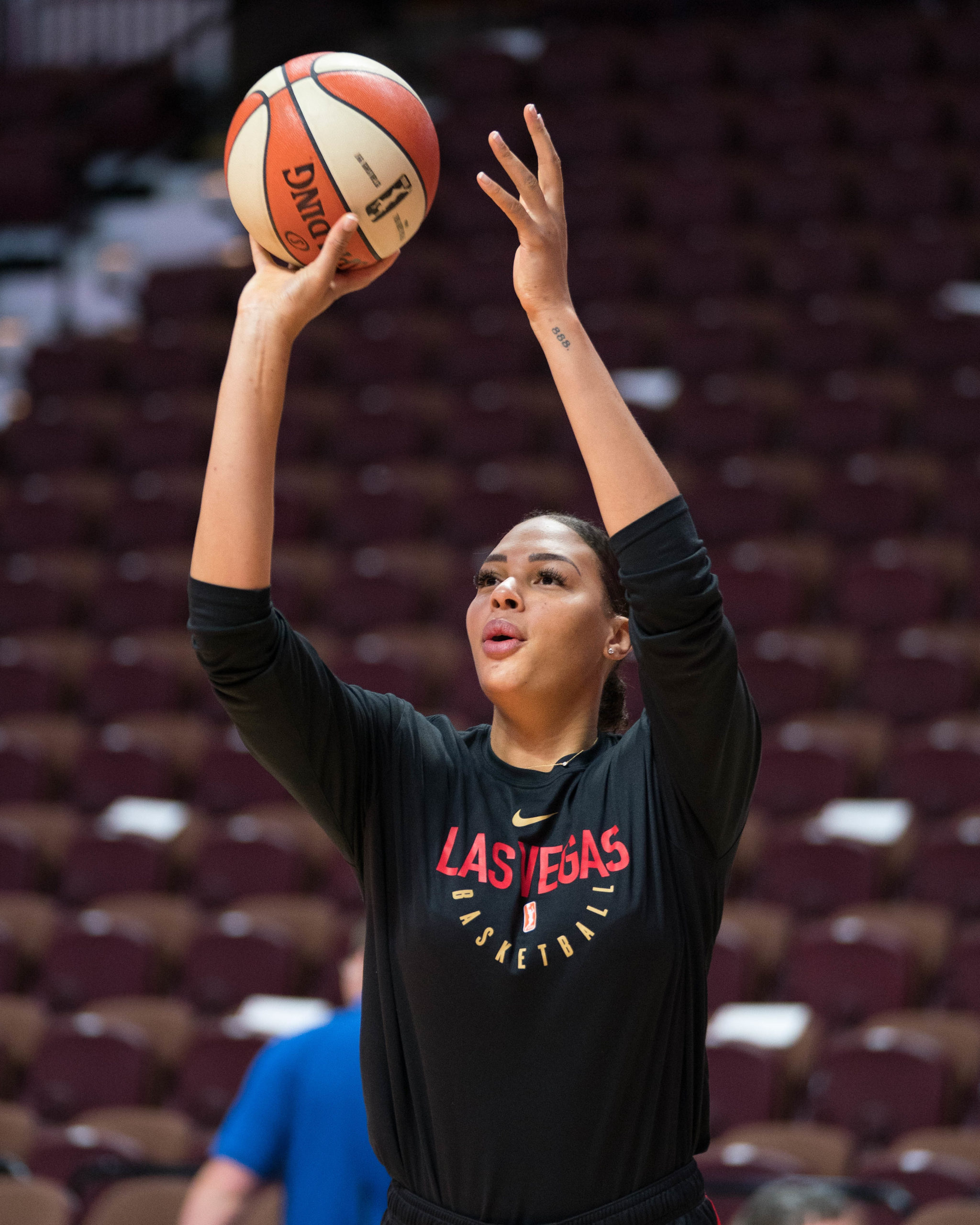 Liz Cambage will not play in the 2020 WNBA season - The Next